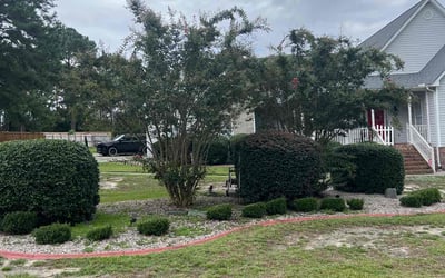Photo of Travis A.'s yard after getting tree care in Columbia, SC