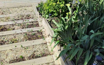 Photo of Jennifer S.'s yard after getting landscaping in Shawboro, NC