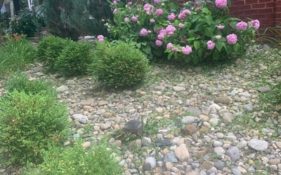 Photo of Scott M.'s yard after getting landscaping in Marengo, OH