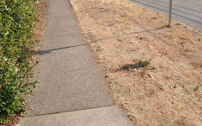 Photo of Alexander S.'s yard after getting landscaping in Baring, WA