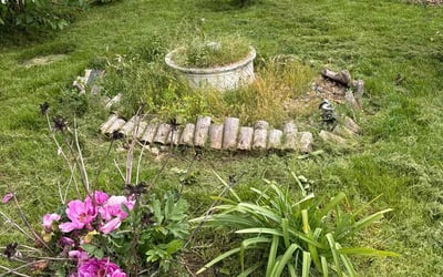 Photo of Judy M.'s yard after getting landscaping in Columbia City, IN