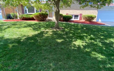 Photo of Nick H.'s yard after getting landscaping in Downers Grove, IL
