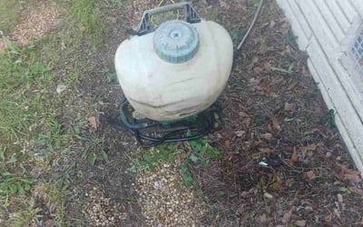 Photo of Elizabeth O.'s yard after getting landscaping in Flovilla, GA