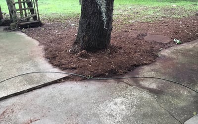 Photo of Diana M.'s yard after getting landscaping in Astatula, FL