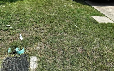 Photo of Melissa D.'s yard after getting landscaping in Round Rock, TX
