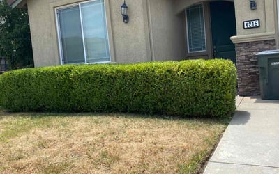 Photo of Chris L.'s yard after getting landscaping in Kings Beach, CA