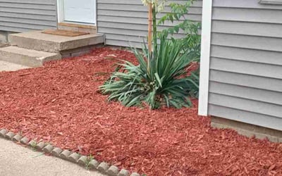 Photo of Samantha M.'s yard after getting landscaping in Hardin, MO