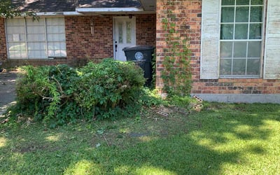 Photo of Debra B.'s yard after getting landscaping in New Roads, LA