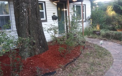 Photo of Beth W.'s yard after getting landscaping in Mid Florida, FL