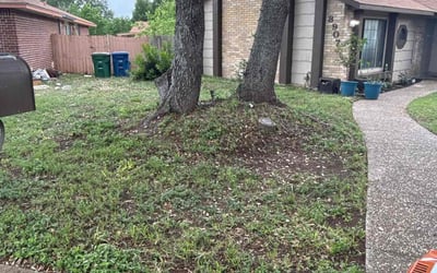 Photo of Chris B.'s yard after getting landscaping in Comfort, TX