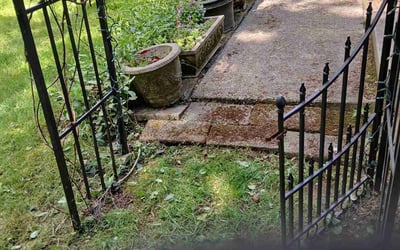 Photo of Jennifer T.'s yard after getting landscaping in Federal Way, WA