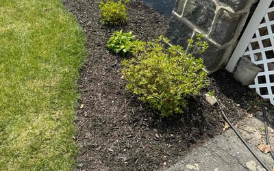 Photo of Rebecca M.'s yard after getting landscaping in West Roxbury, MA