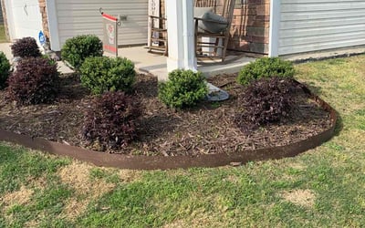 Photo of Stephanie M.'s yard after getting tree care in Cary, NC