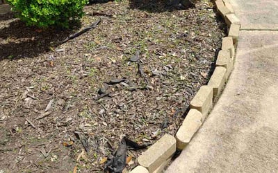 Photo of Ryan R.'s yard after getting landscaping in Humble, TX