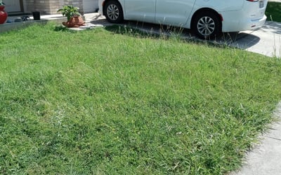 Photo of Richard S.'s yard after getting landscaping in Von Ormy, TX