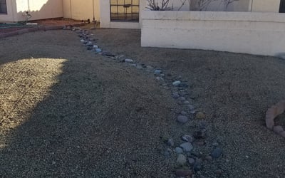 Photo of Ravi G.'s yard after getting tree care in Peoria, AZ