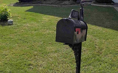 Photo of Kenneth H.'s yard after getting tree care in Alpharetta, GA