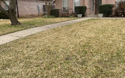 Photo of Josh R.'s yard after getting landscaping in Nemo, TX