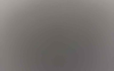 Photo of Elizabeth R.'s yard after getting tree care in Las Vegas, NV