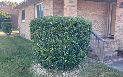 Photo of Michael F.'s yard after getting landscaping in Wicomico, VA