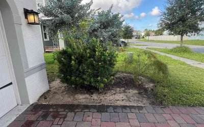Photo of Kimberly J.'s yard after getting tree care in Davenport, FL