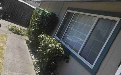 Photo of Judy B.'s yard after getting landscaping in Auburn, CA