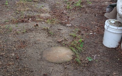 Photo of Brenda R.'s yard after getting landscaping in Ware Neck, VA