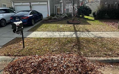 Photo of Ashley W.'s yard after getting landscaping in Olin, NC