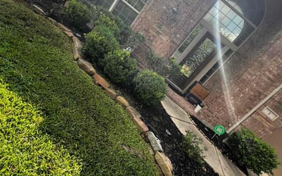 Photo of Kristopher G.'s yard after getting tree care in Rosenberg, TX