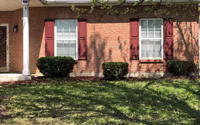 Photo of Leopoldo A.'s yard after getting tree care in Dayton, OH