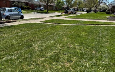 Photo of Joe B.'s yard after getting landscaping in Oak Park, MI