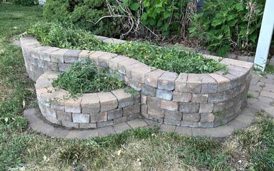 Photo of Daniel W.'s yard after getting landscaping in Kittredge, CO