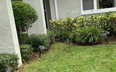 Photo of Joseph S.'s yard after getting landscaping in Aripeka, FL