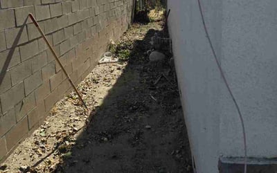 Photo of Tamara J.'s yard after getting landscaping in Hemet, CA