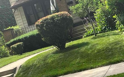Photo of Karl R.'s yard after getting landscaping in Milwaukee, WI