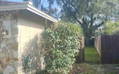 Photo of Nathan E.'s yard after getting landscaping in Longwood, FL