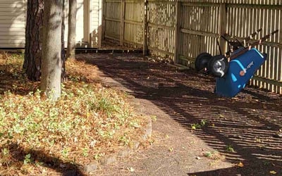 Photo of Vanessa H.'s yard after getting landscaping in Windsor, VA