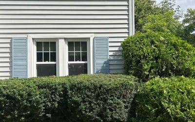 Photo of Paul B.'s yard after getting landscaping in Geneva, NY