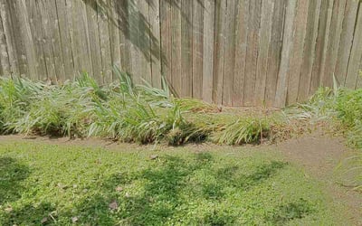 Photo of Allison S.'s yard after getting landscaping in Floyds Knobs, IN