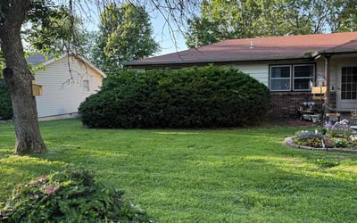 Photo of Mary H.'s yard after getting landscaping in Springfield, MO