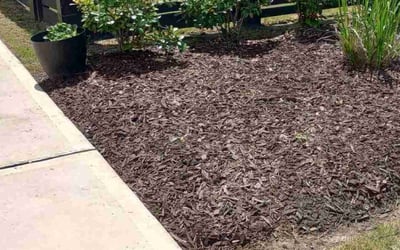 Photo of Jason K.'s yard after getting landscaping in High Island, TX