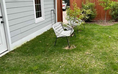 Photo of Christopher A.'s yard after getting landscaping in Waterford, VA