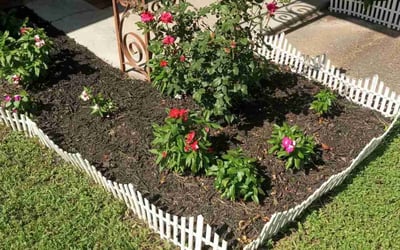 Photo of Roberta T.'s yard after getting landscaping in Rye, TX