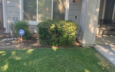 Photo of Justin S.'s yard after getting tree care in Stockton, CA