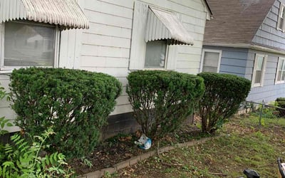 Photo of Tamara H.'s yard after getting landscaping in Kingston, MO