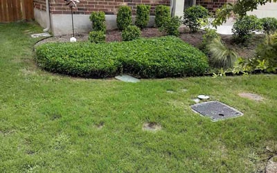 Photo of Ryan F.'s yard after getting landscaping in Granger, TX