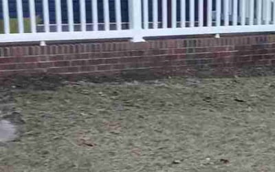 Photo of Dee T.'s yard after getting landscaping in Raeford, NC