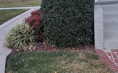 Photo of Mark K.'s yard after getting landscaping in Hamilton, VA
