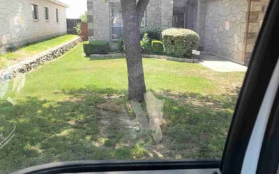 Photo of John C.'s yard after getting landscaping in Charlotte, TX