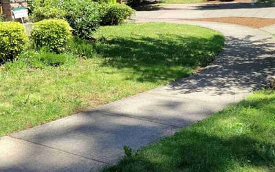 Photo of Kim H.'s yard after getting landscaping in Sherwood, OR